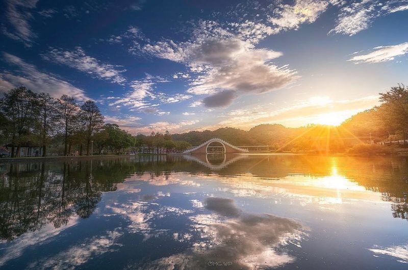台北景點｜內湖景點｜內湖落羽松｜大湖公園｜大湖公園落羽松