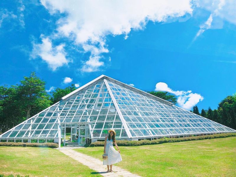 花蓮景點 知卡宣森林公園
