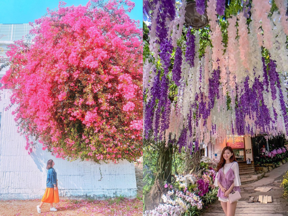 台南花季