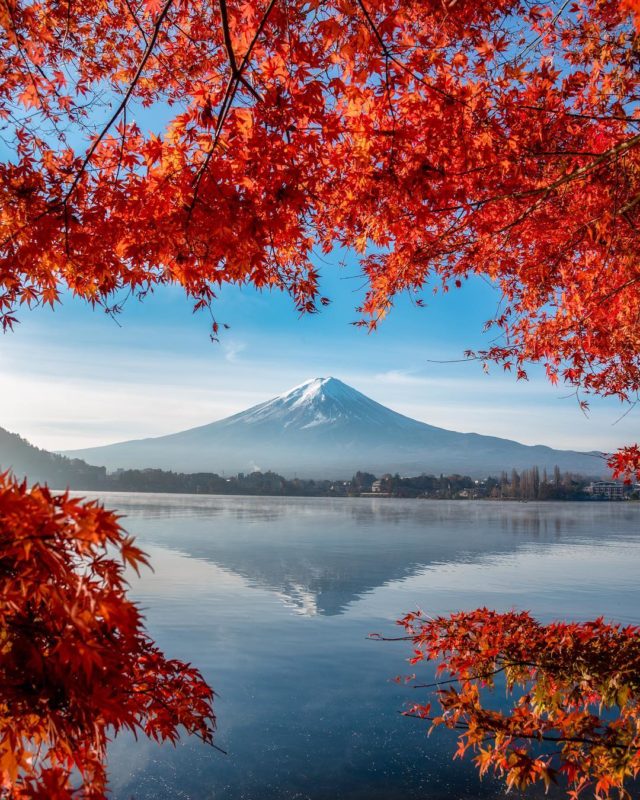 日本 關東 富士山腳下的紅地毯 河口湖紅葉祭必拍景點 Readygo