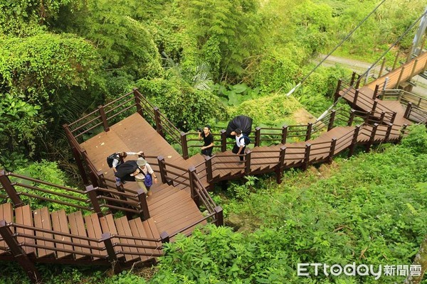 全台精選3座繩索吊橋推薦！來一趟溪谷叢林間的步道健行