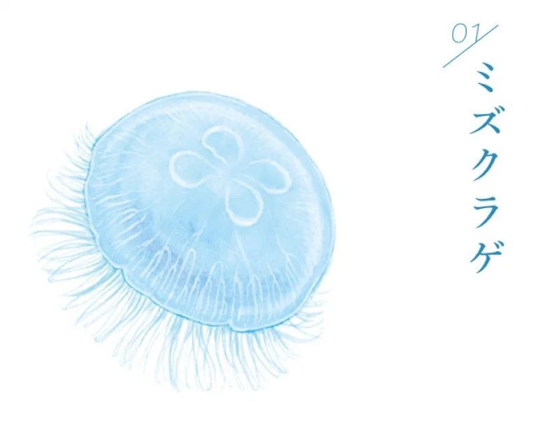 日本水族館推出「水母傘」，透明藍色美到網友都生火！