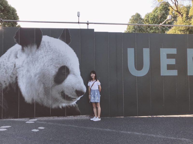 日本動物園 上野動物園熊貓