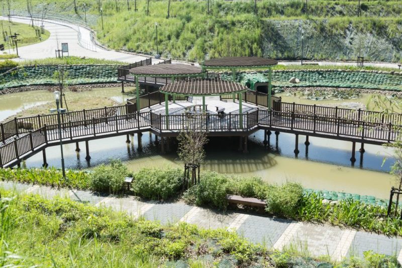 台中假日親子景點-坪林森林公園