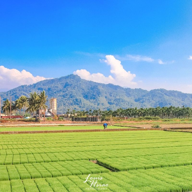 高雄景點美濃自行車道