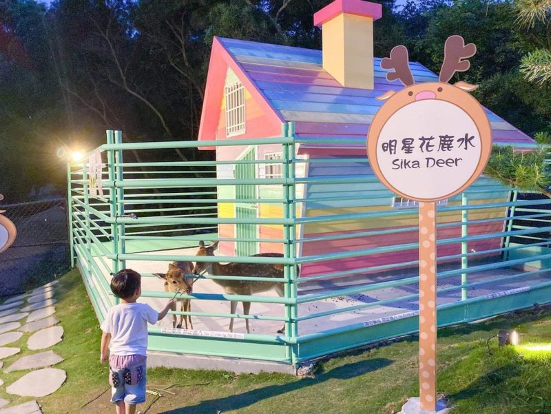 新竹夜景咖啡廳懶人包-卡菲努努梅花鹿