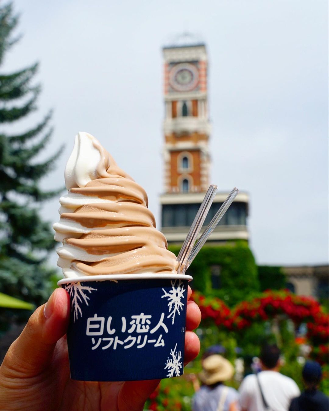 札幌甜點白色戀人公園 霜淇淋
