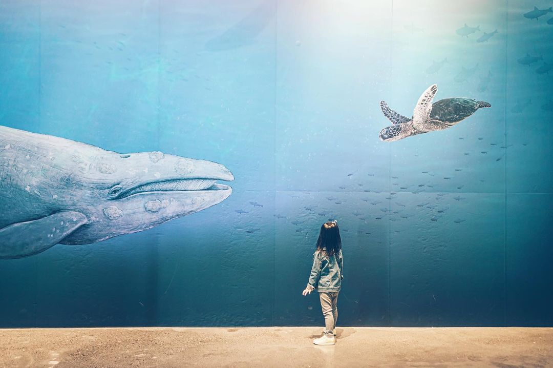 臺南左鎮化石園區