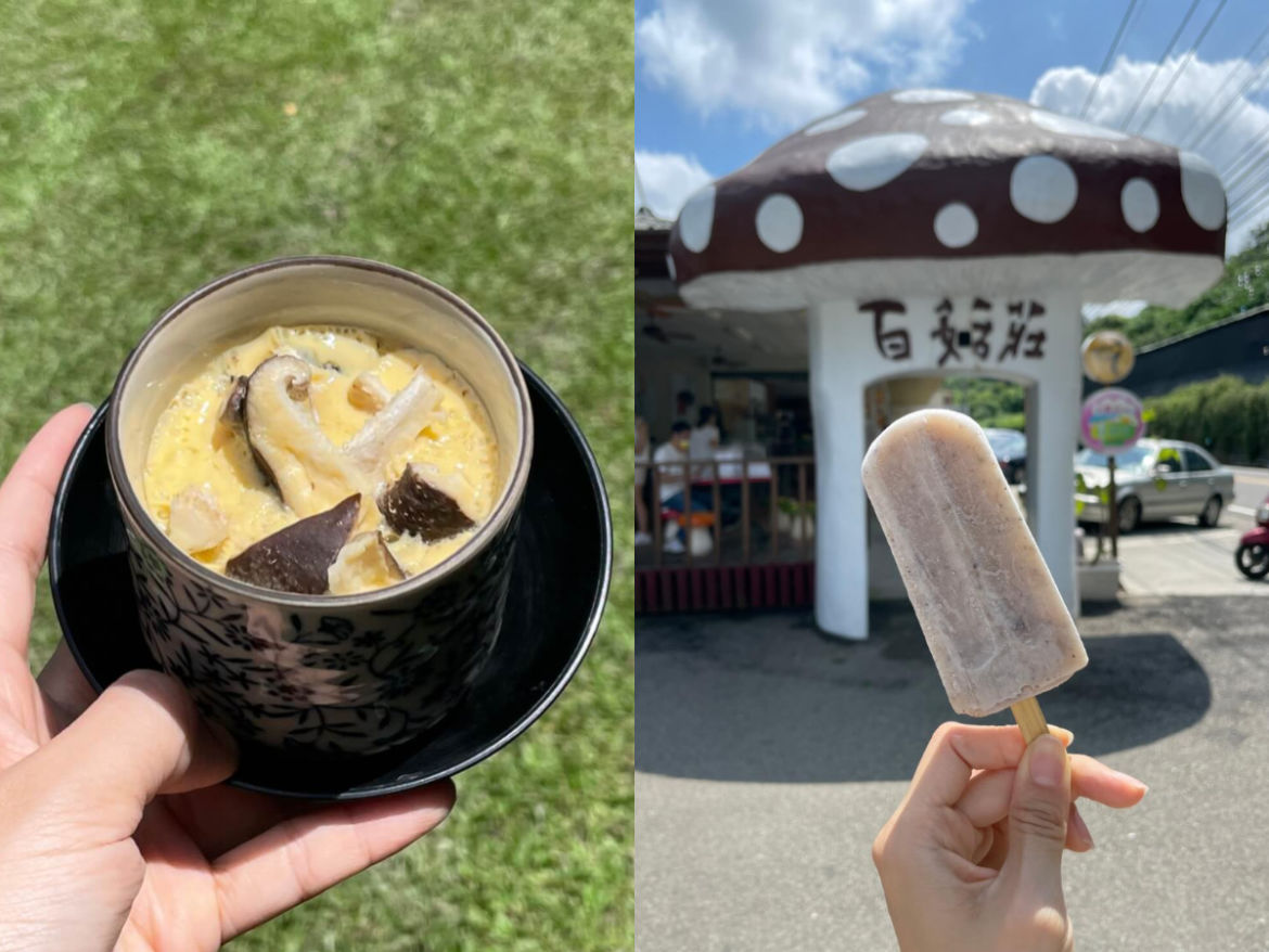 台中景點｜新社百菇莊香菇控必訪！ 採菇、種菇、買菇一站玩透透
