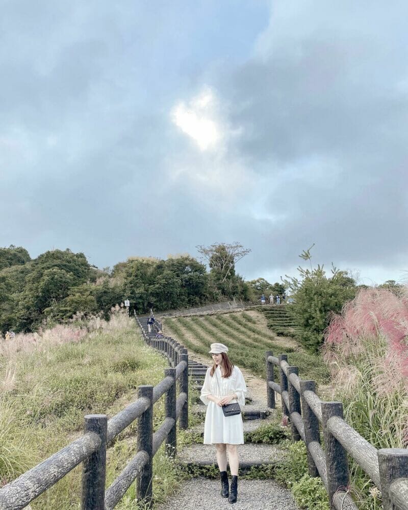 新北景點坪林南山寺仙公廟