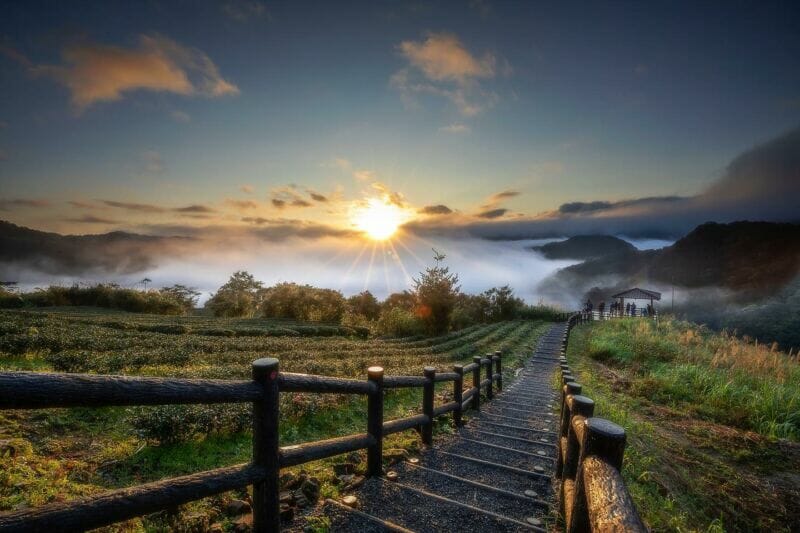 新北景點坪林南山寺仙公廟