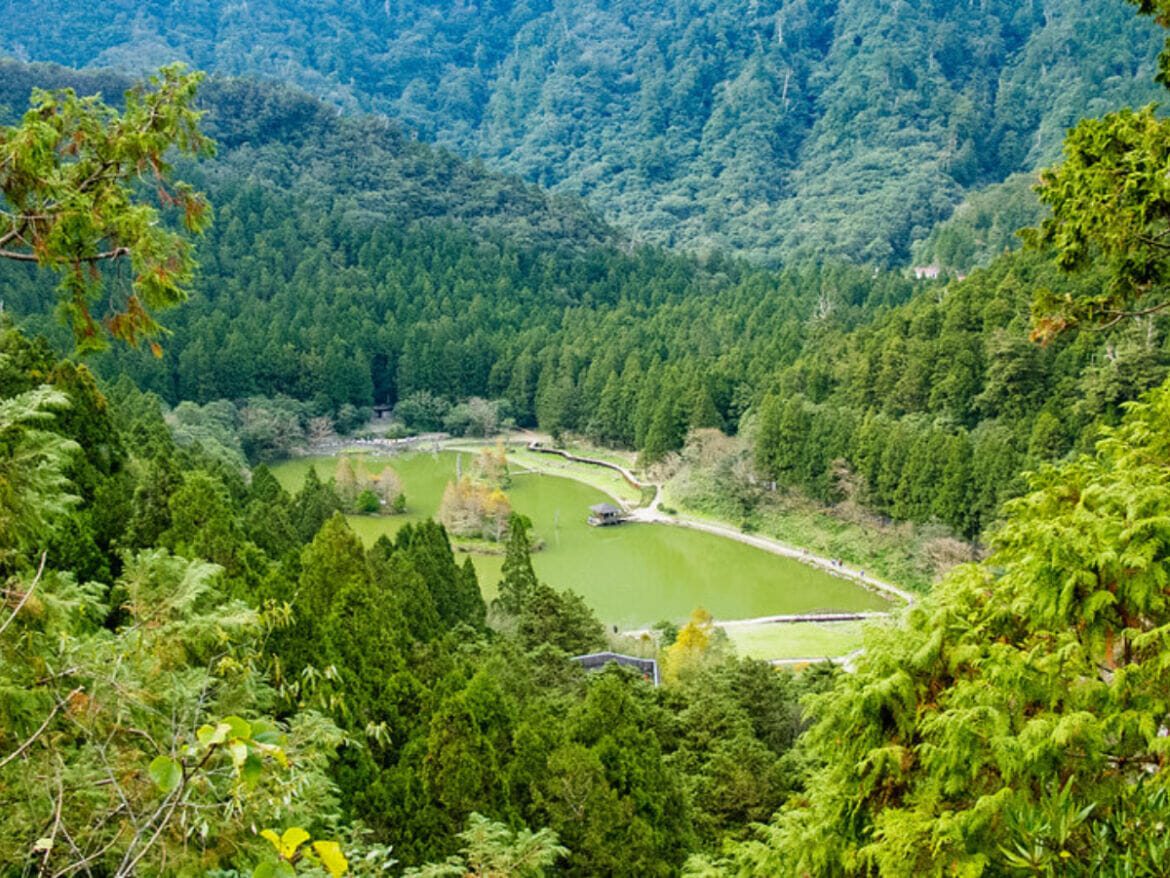2023宜蘭TOP5「森林步道」 夏天避暑就來這！ 隱藏在深山迷霧中的森林鐵道之旅