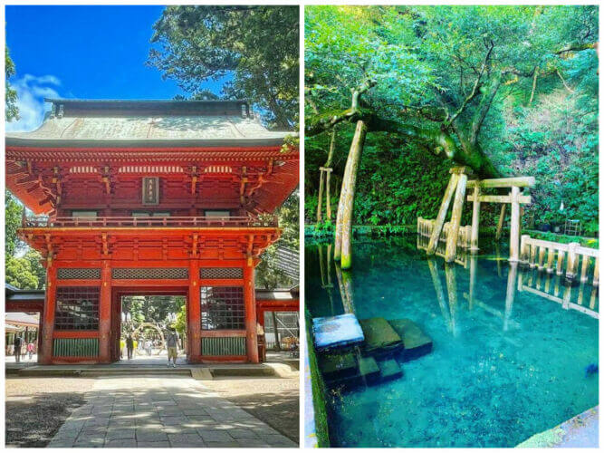 日本神社｜坐落水中的「鹿島神宮」鳥居！號稱日本的源頭，如仙境般的