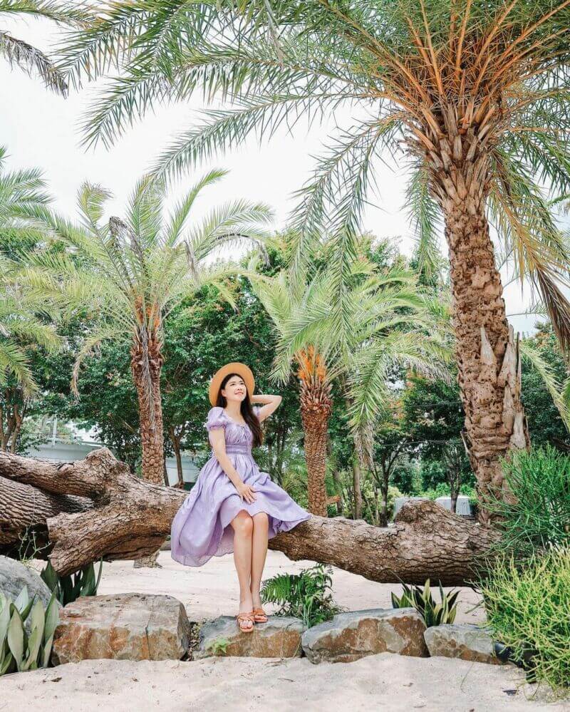 彰化IG_好田森林