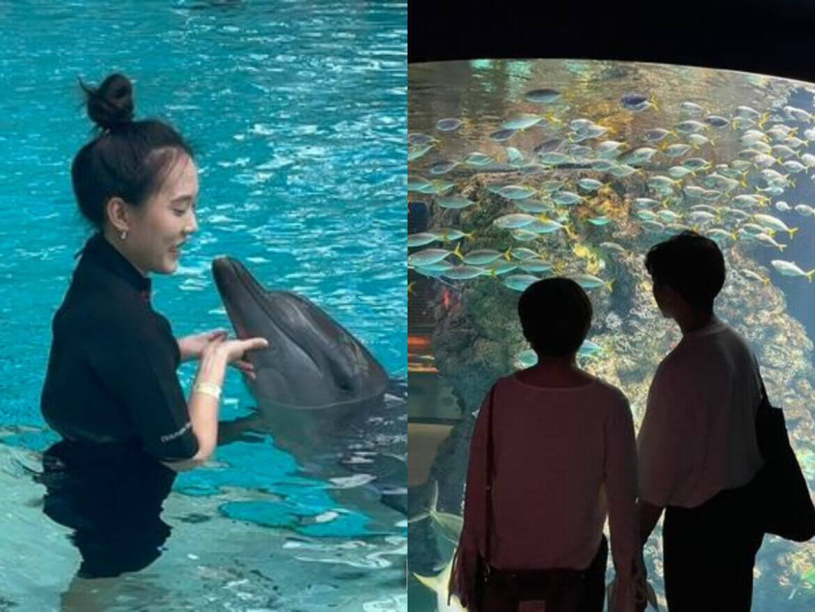 新加坡旅遊｜必去夢幻海洋世界，漫步海底隧道、和海豚玩躲貓貓！