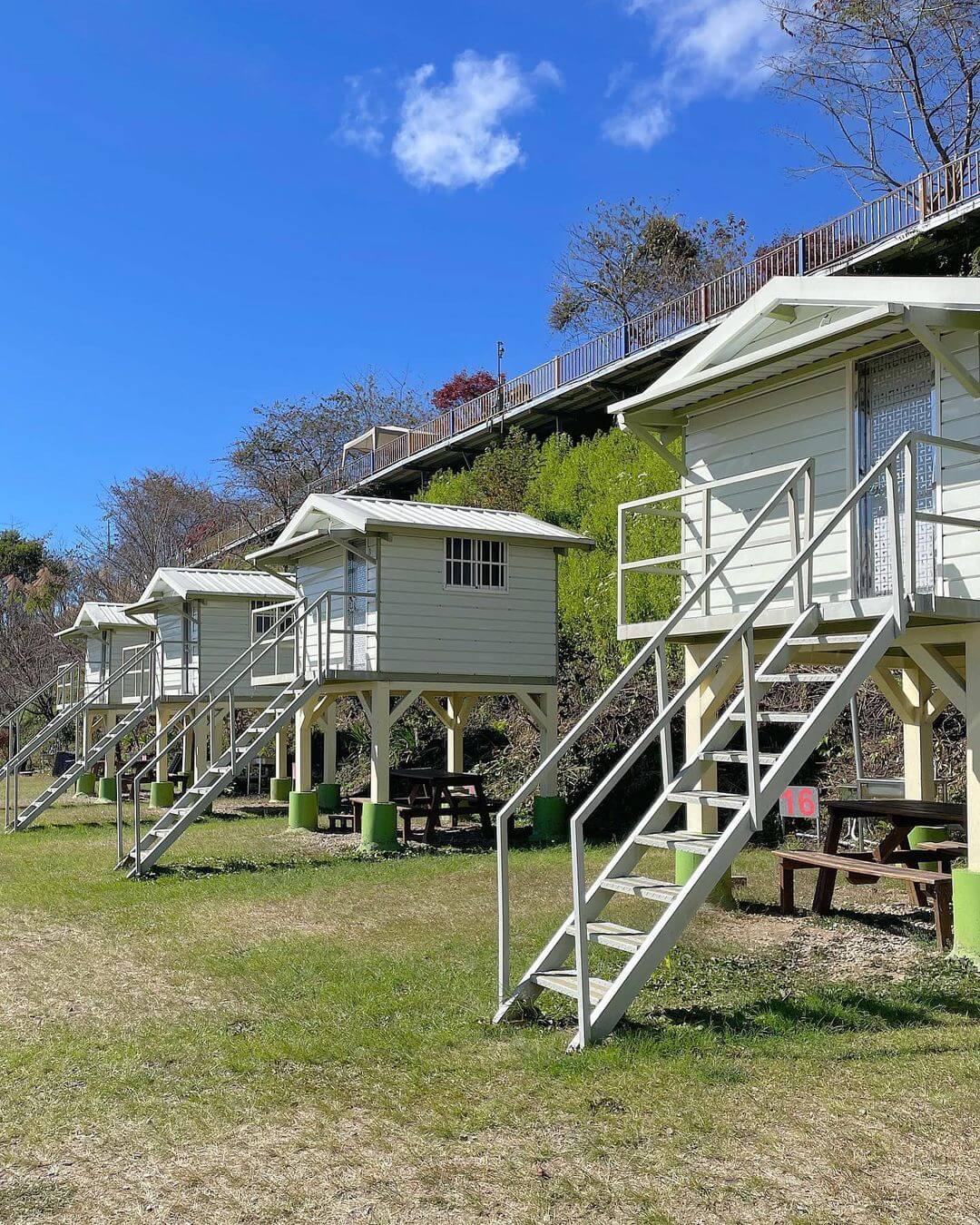 南投露營|迷露1850露營區