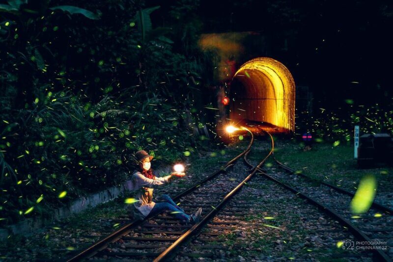 台灣旅遊|全台賞螢景點大公開,北中南東八大必去夜遊景點推薦 - ReadyGo