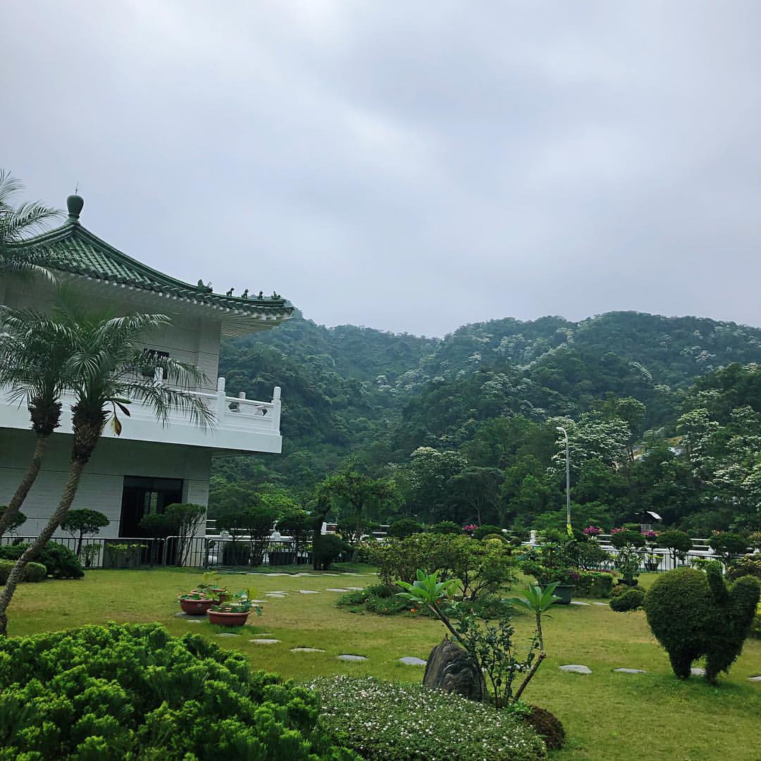 全台景點|2024浪漫四月雪來襲,精選全台13個最佳觀賞油桐花地點!