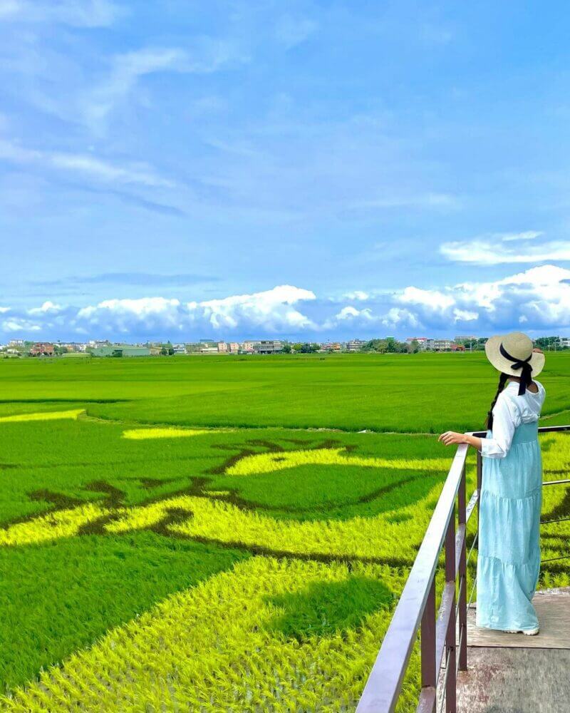 冬山景點|三奇美徑