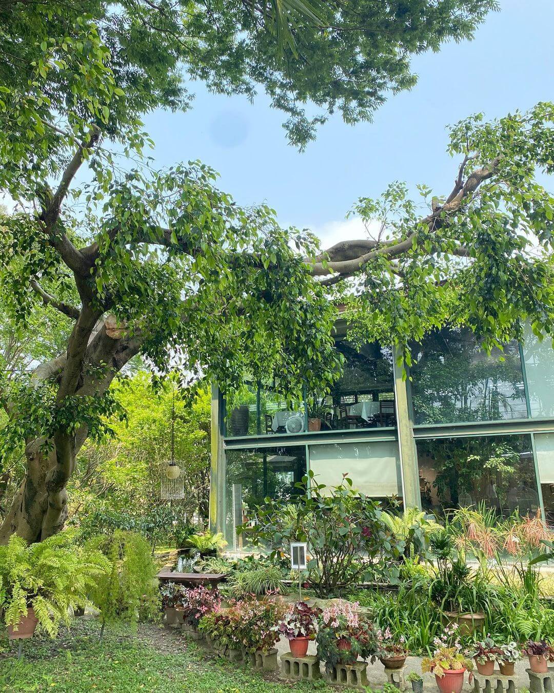 森林系餐廳推薦│千樺花園餐廳