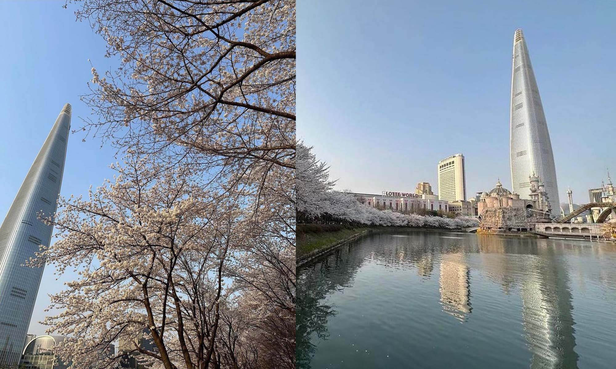 韓國自由行|樂天塔景觀台一日遊,從早玩到晚,地鐵蠶室站周圍美食與景點