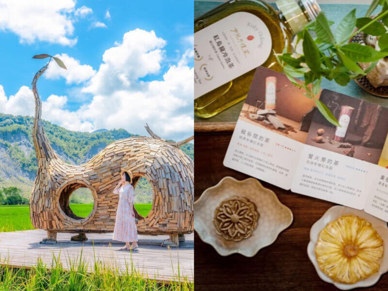 台東景點｜騎腳踏車暢遊鹿野！經典茶美食、遼闊美景、純樸部落一次收藏