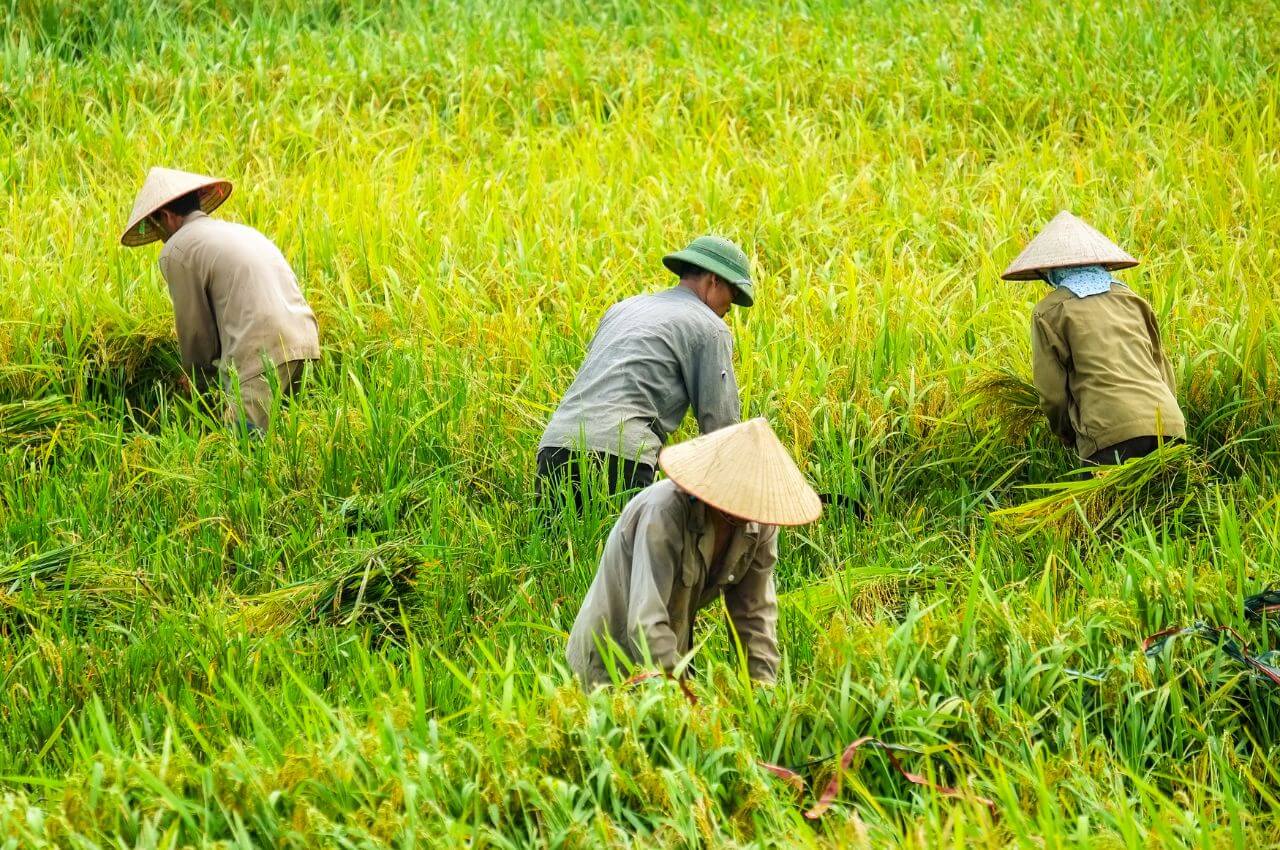 越南自由行|走一趟越南深度旅行,體驗不同的食衣育樂、感受萬種風情的東方魅力