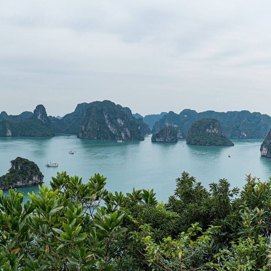 越南自由行|北越下龍灣必玩行程景點!夜宿海上一覽世界遺產 開箱世界七大奇景