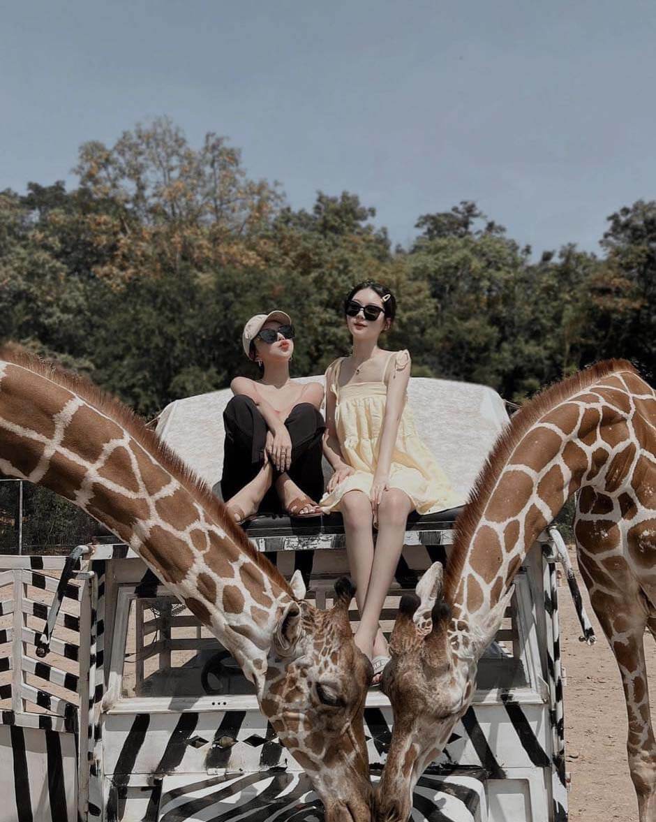泰國自由行|野生動物園旅遊攻略|Safari Park Kanchanaburi 北碧府動物園
