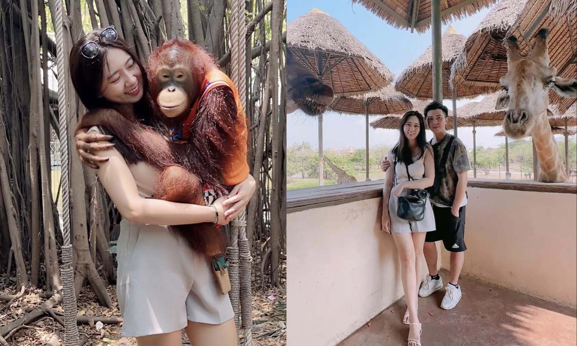 泰國自由行|野生動物園旅遊攻略|Safari World曼谷塞福瑞野生動物園