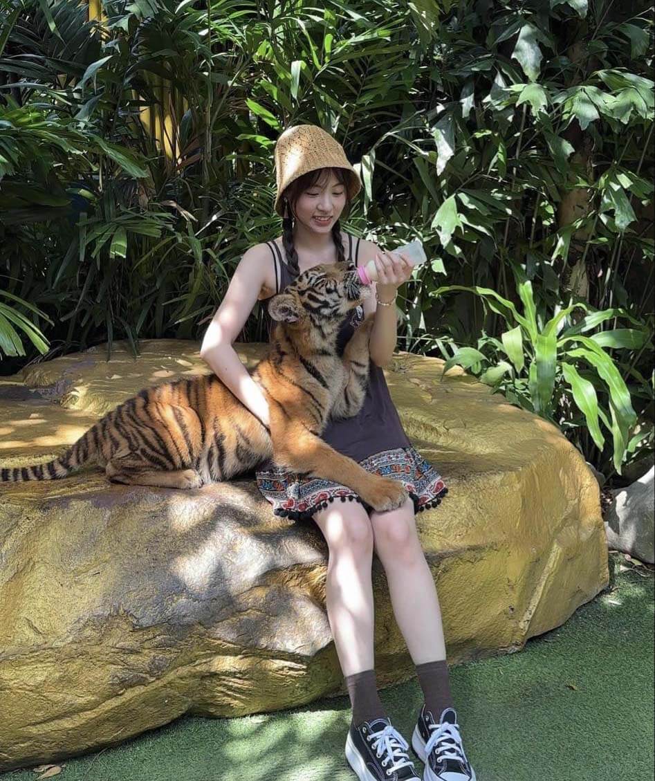 泰國自由行|野生動物園旅遊攻略|Safari World曼谷塞福瑞野生動物園
