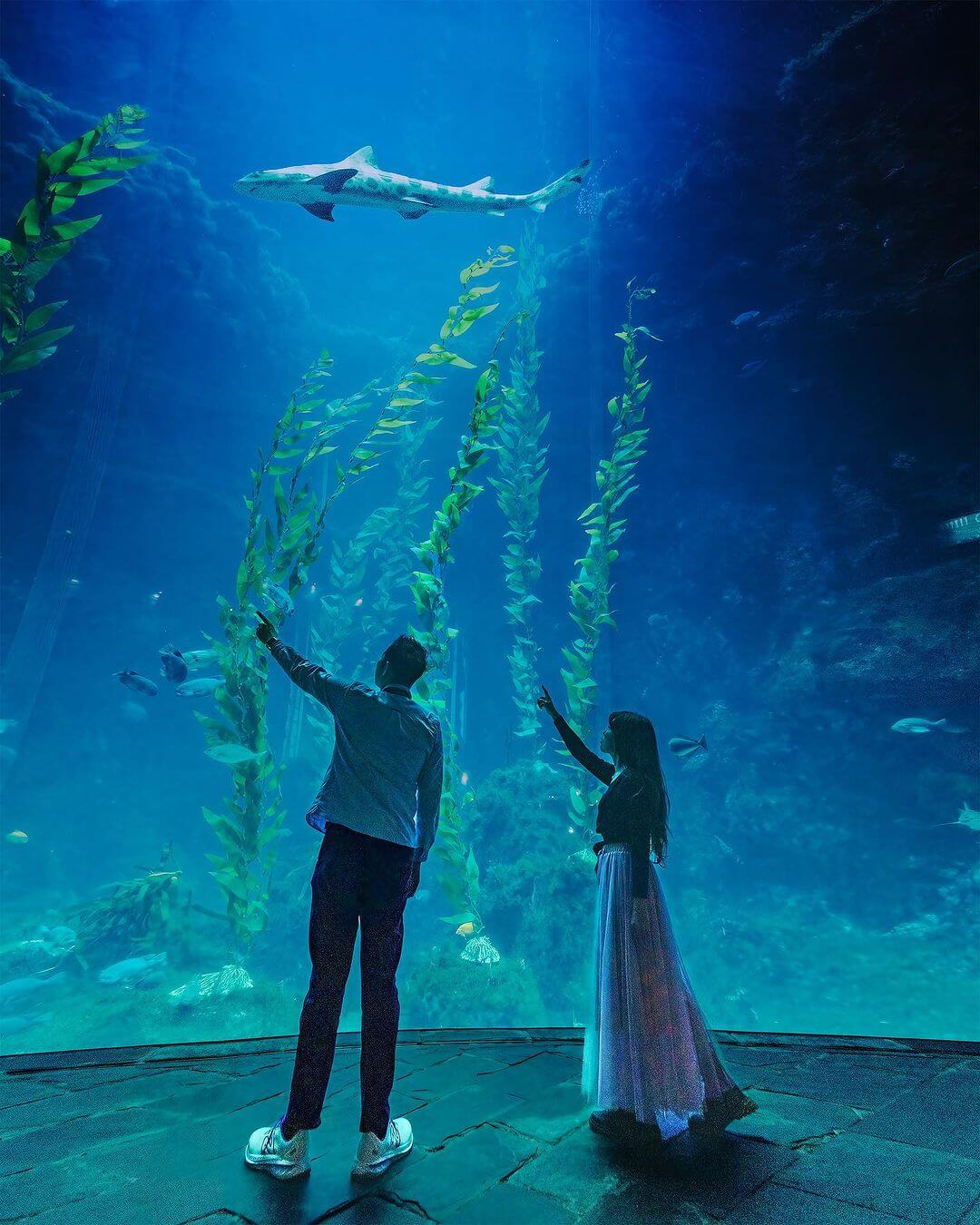 Pingtung Attractions: Recommended Indoor Spots—No Fear of Rain!