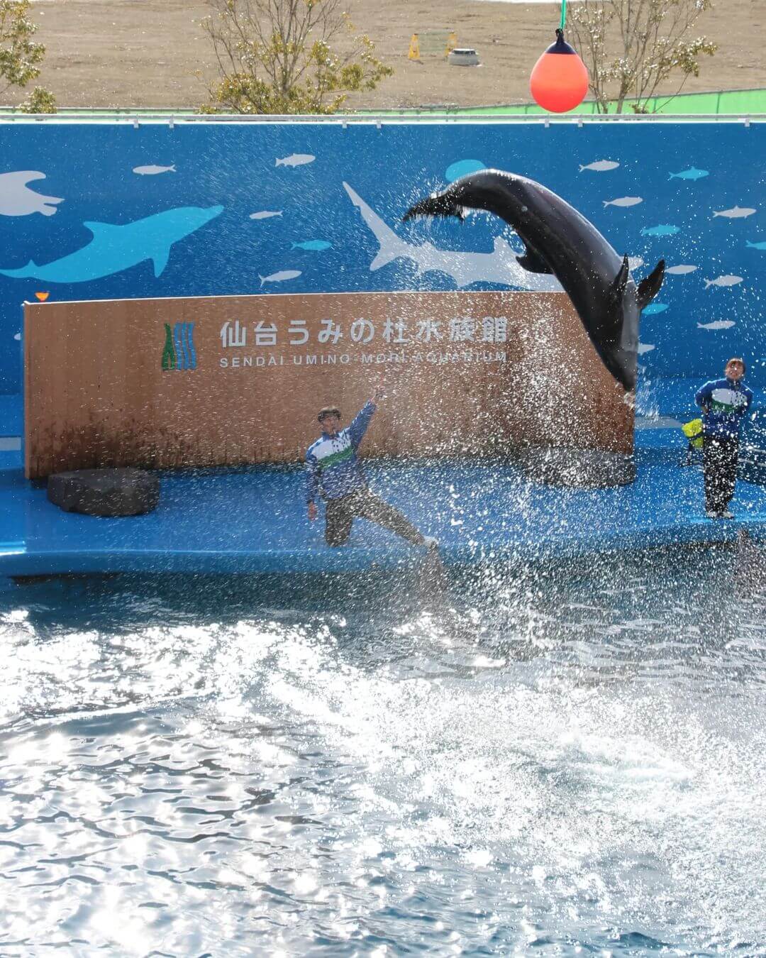 日本自由行|東北旅遊第一大都市!仙台自由行景點推薦,必訪六選
