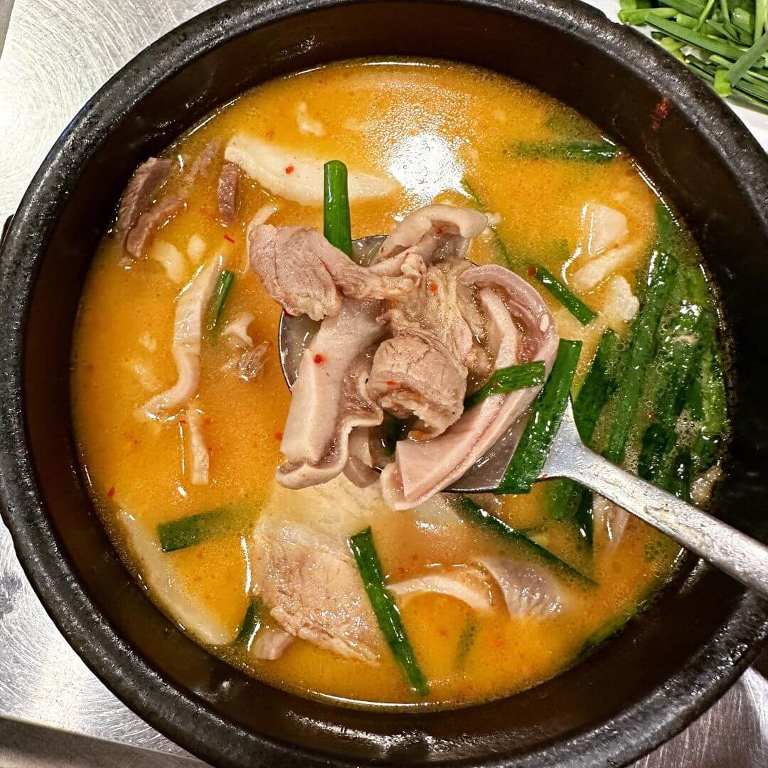 探索釜山美食之旅：韓國自由行精選六家必吃豬肉湯飯