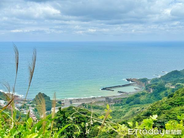 新北一日遊|瑞芳新玩法!品嚐咖啡遠眺陰陽海、大啖尚青海鮮,走入寧靜老屋書店
