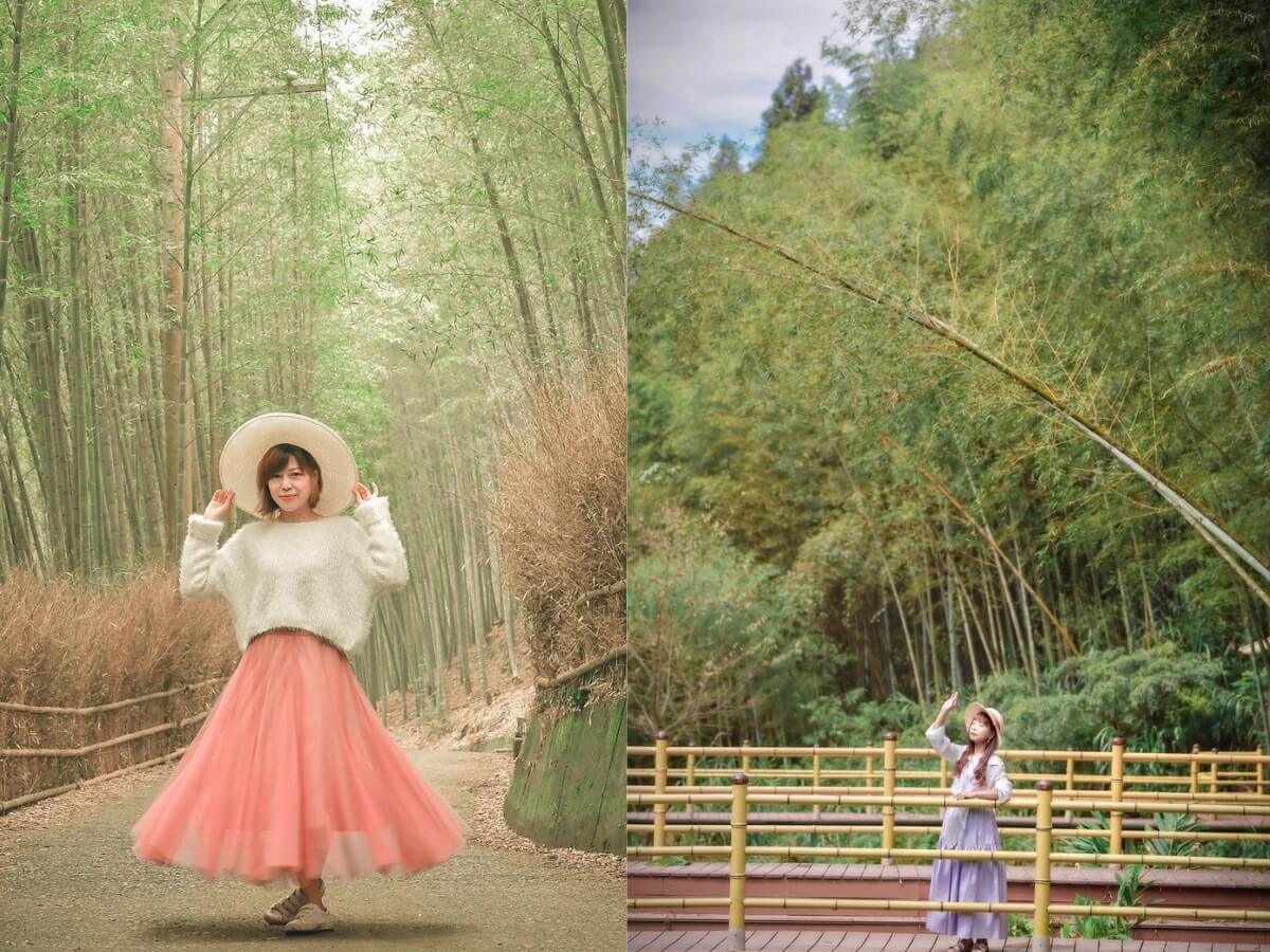 Taiwan Scenic Spots｜Bamboo Forest Hidden Gems Guide: Capture Stunning Bamboo Forests without Traveling to Arashiyama, Kyoto!
