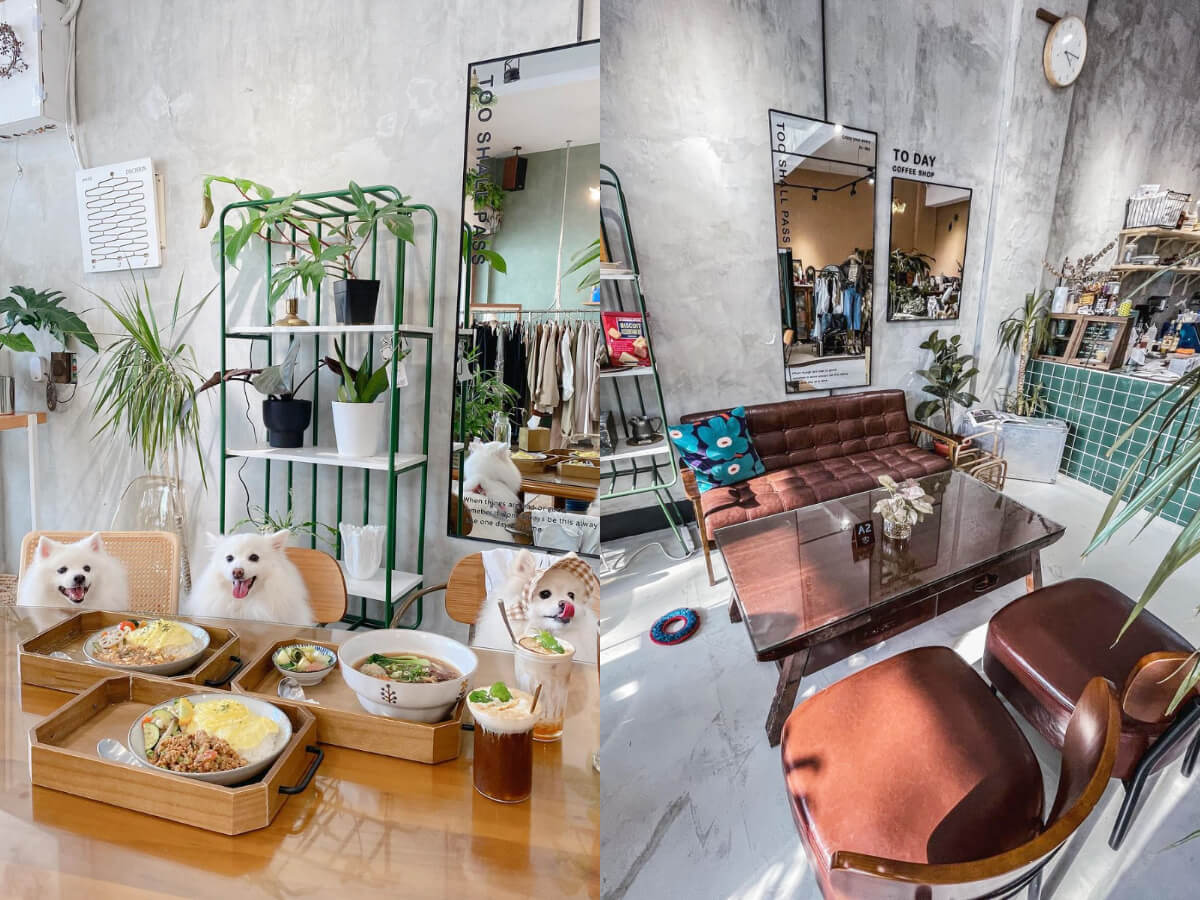 台灣南部：盤點7間南部寵物友善餐廳！