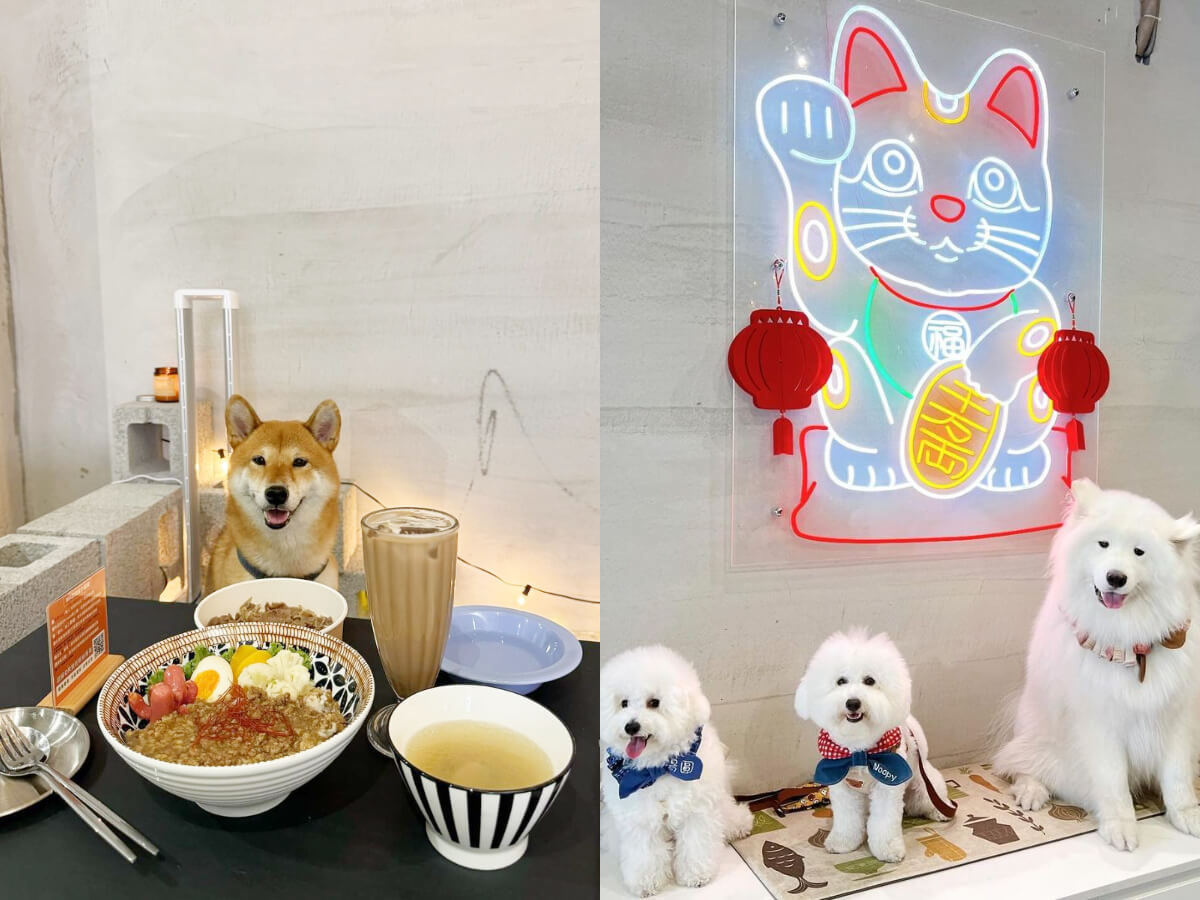 台灣南部:盤點7間南部寵物友善餐廳!