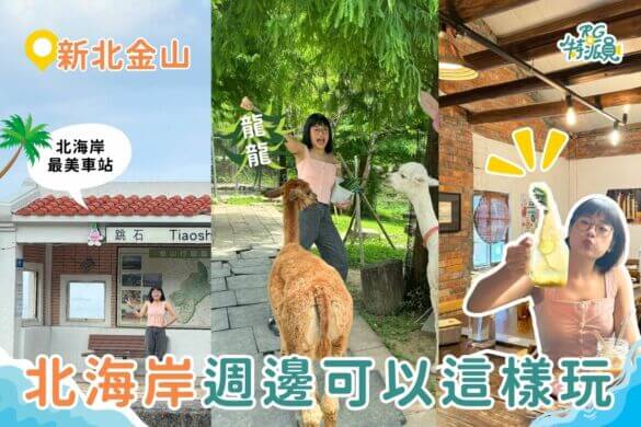 影｜新北一日遊｜金山北海岸這樣玩！最美公車站、超夯卡比巴拉牧場、漁港隱藏版美食