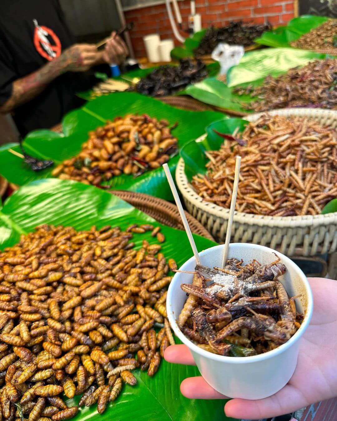 Thailand Food Guide | Bangkok Travel Essentials! JODD FAIRS Night Market Guide: Transportation & Must-Eats