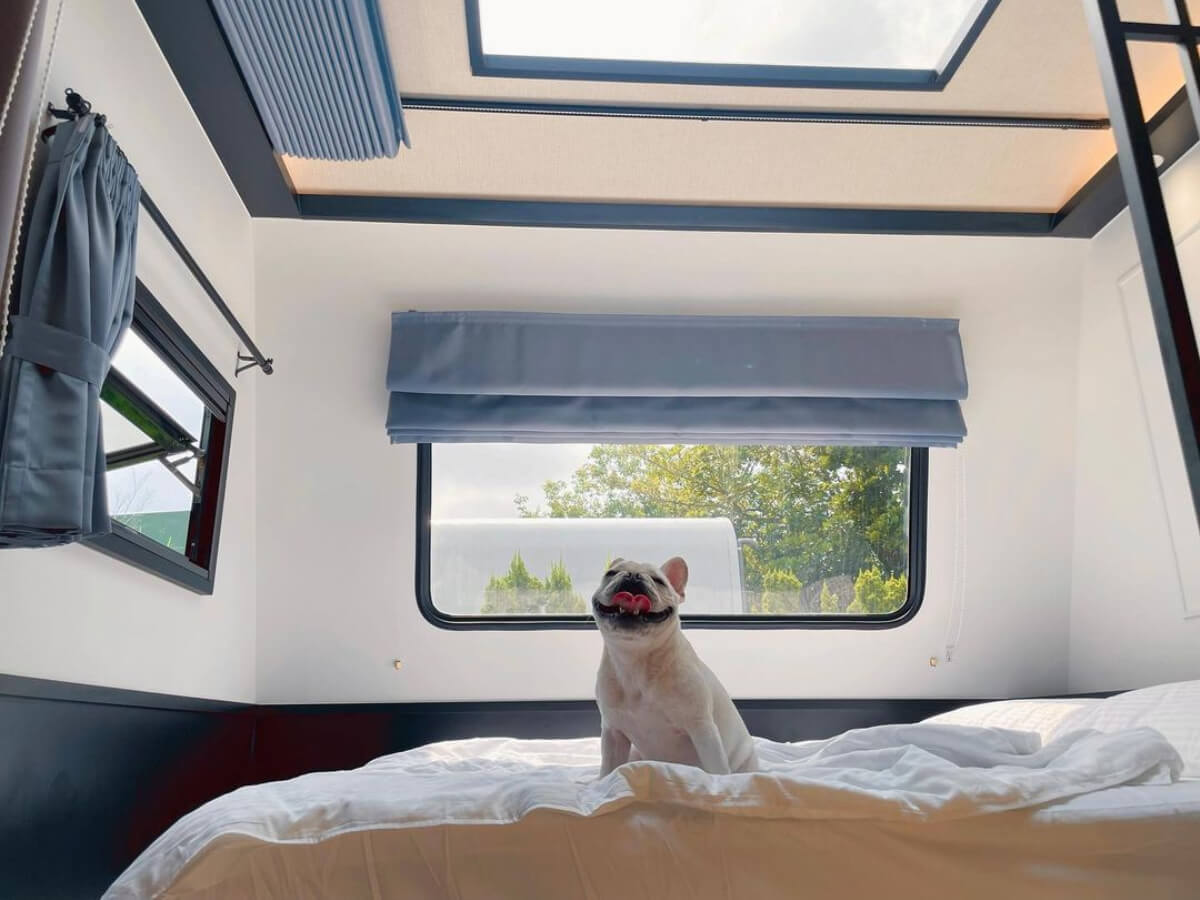 pet-friendly