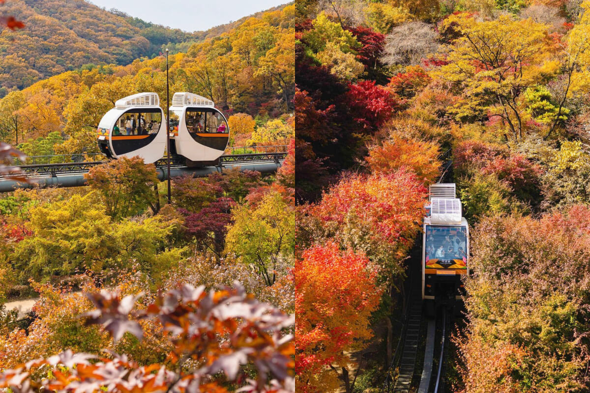 Korean Attractions | Only Shopping in Seoul? The Suburbs Are Just as Fun! 8 Must-Visit Spots Unveiled