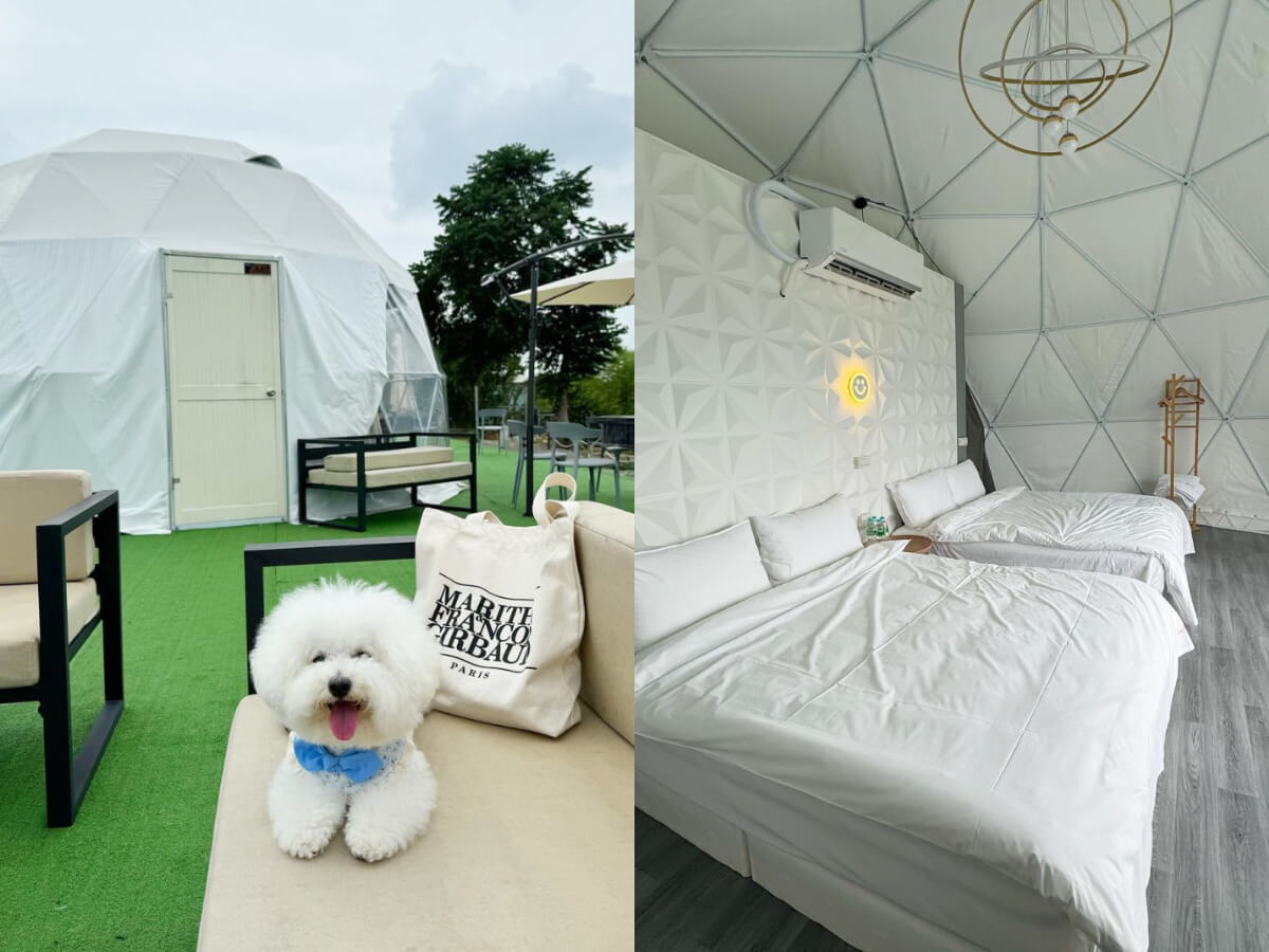 全台住宿|盤點8大寵物友善懶人露營!帶毛孩一起體驗免搭帳露營、玩水