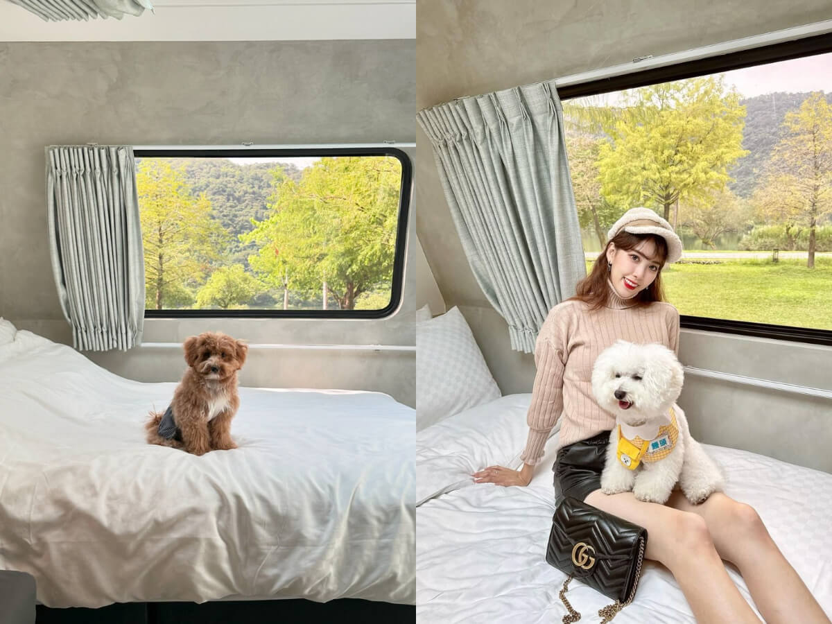 pet-friendly