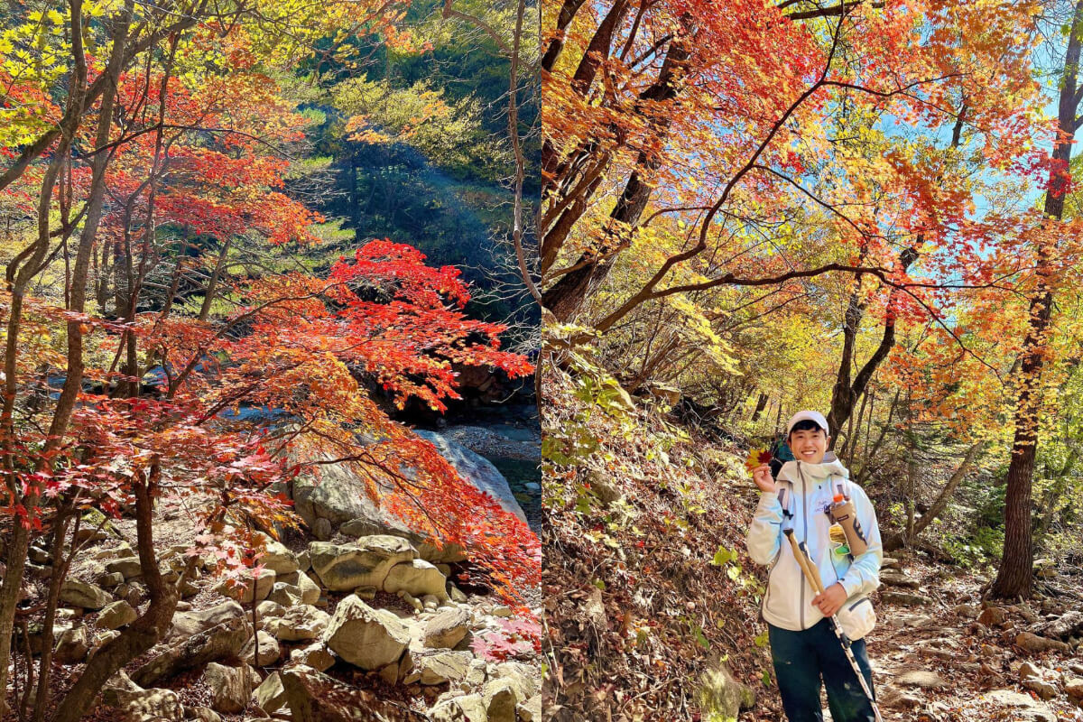 Korean Attractions | Only Shopping in Seoul? The Suburbs Are Just as Fun! 8 Must-Visit Spots Unveiled