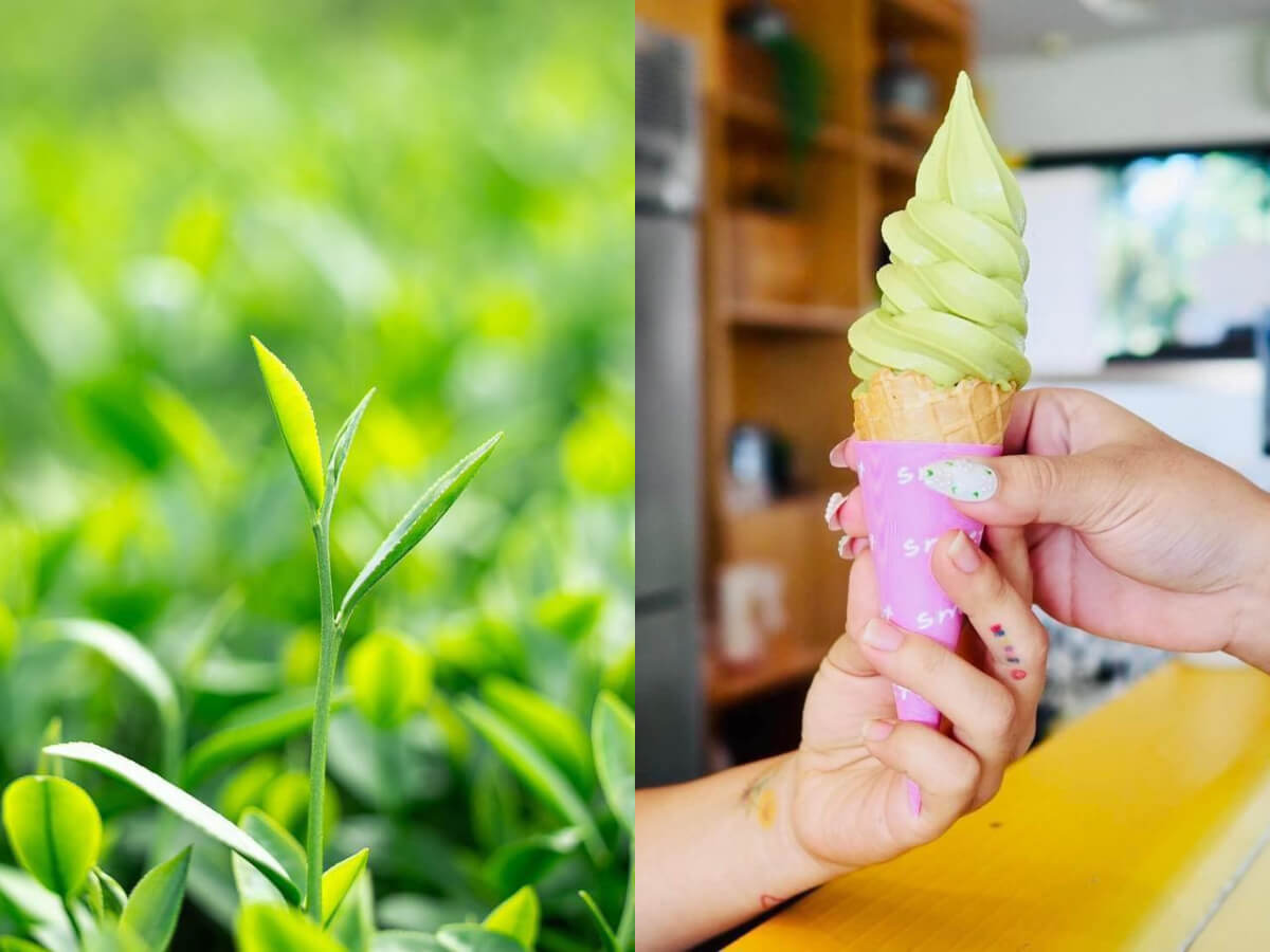 泰國景點:清萊就是要這樣玩!6個自由行必去景點
