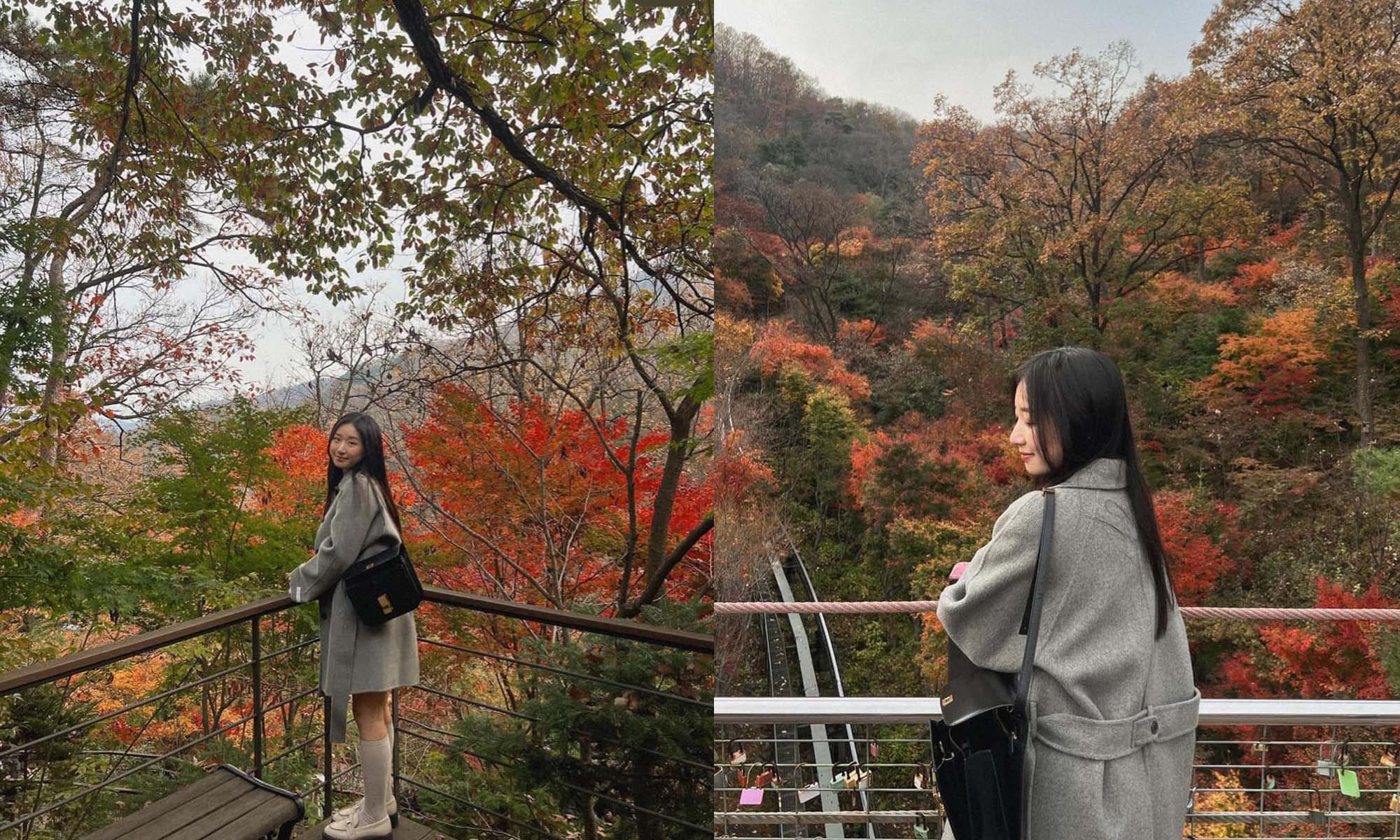 韓國景點:和談林一日遊!搭單軌列車穿梭山野
