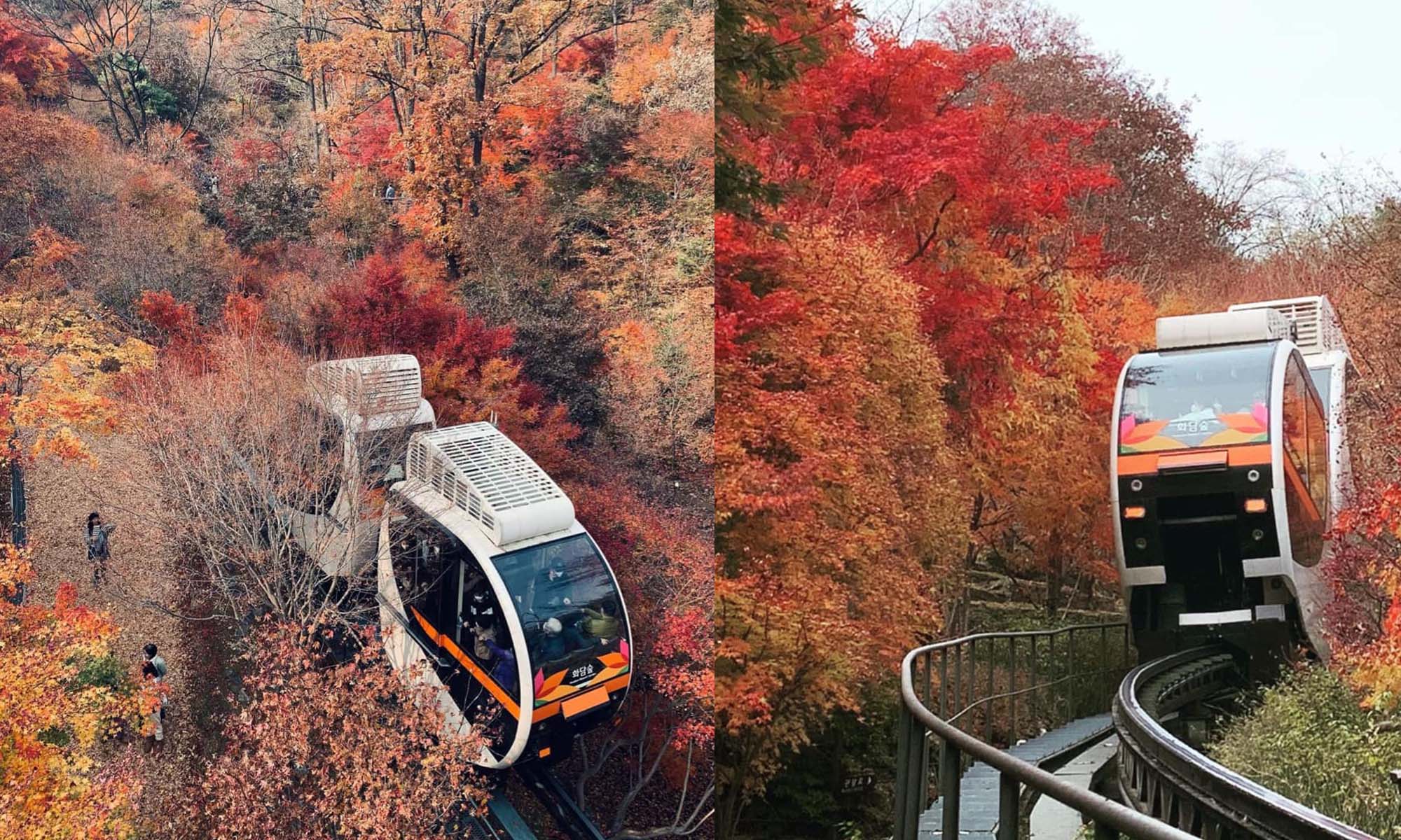 韓國景點：和談林一日遊！搭單軌列車穿梭山野