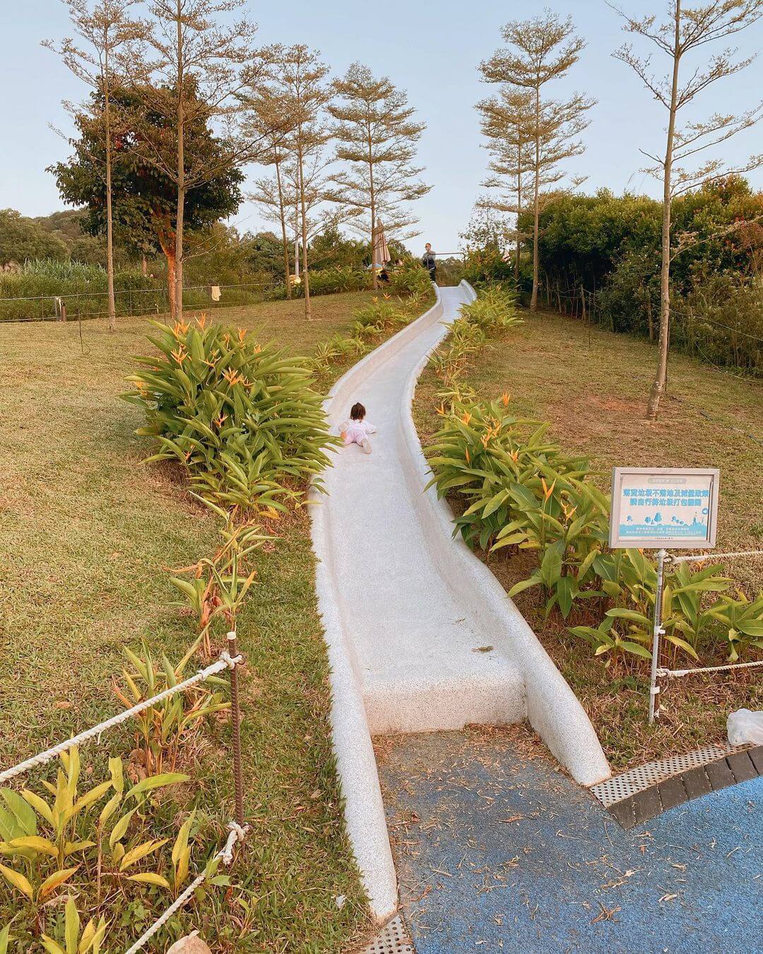 桃園景點｜桃園一日遊景點推薦｜大有梯田生態公園