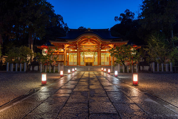 京都景點|京都6處隱藏版賞楓、銀杏地!走進金色隧道 看紅葉地毯、花燈路